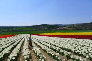 Renée in the tulips