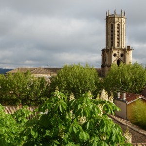 St.Sauveur & chestnuts