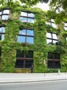 Musée Quai Branly Living Wall