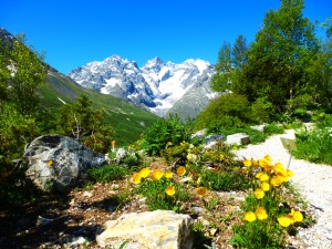 Botanical Garden Col de Lauteret