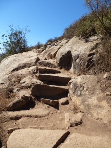 Steps on Bishop Beak