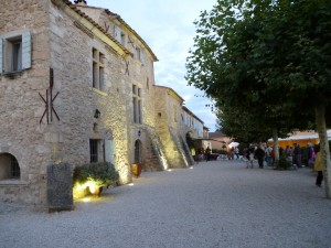 Chateau/Vineyard